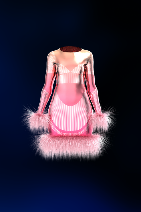Cannon Metallic Dress With Fur and Wings